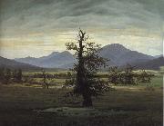 Caspar David Friedrich The Solitary Tree oil painting reproduction